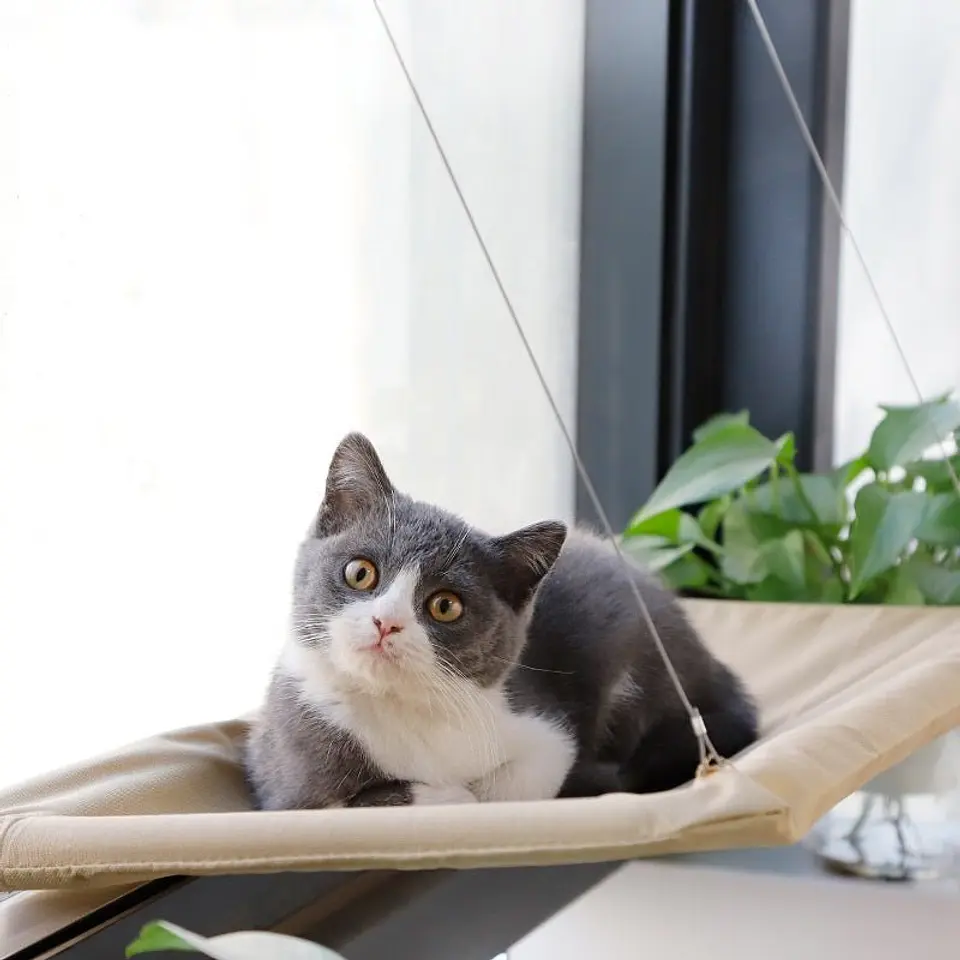 Cama para gatos en ventana - Caja 3