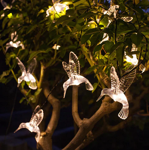 Luz solar guirnalda colibri