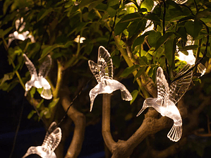 Luz solar guirnalda colibri