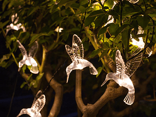 Luz solar guirnalda colibri