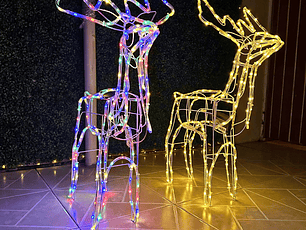 Reno Solar navideño