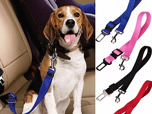 Correa De mascotas Anti Escape