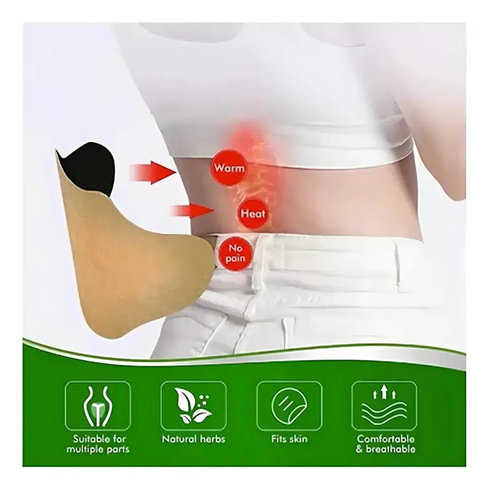 Parches Para La Columna Lumbar Alivio Del Dolor Fragancia Hierbas Mentolado 2