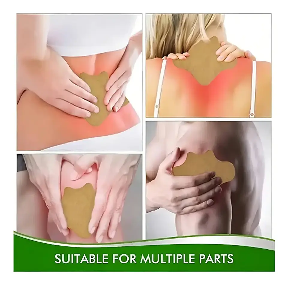 Parches Para La Columna Lumbar Alivio Del Dolor Fragancia Hierbas Mentolado 3