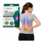 Parches Dolor Espalda Lumbar Marca Youhome Cervical Herbales 10 Unidades Alivio Muscular Cuello Hombros Rodillas Articulaciones Adhesivos Anatómicos Mentol Capsaicina Uso Diario Larga Duración - Miniatura 1