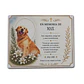 Placa Conmemorativa Memorial Personalizable Para Mascota - Miniatura 1