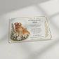 Placa Conmemorativa Memorial Personalizable Para Mascota - Miniatura 3