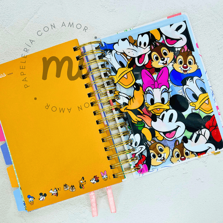 AGENDA MICKEY AND FRIENDS 5