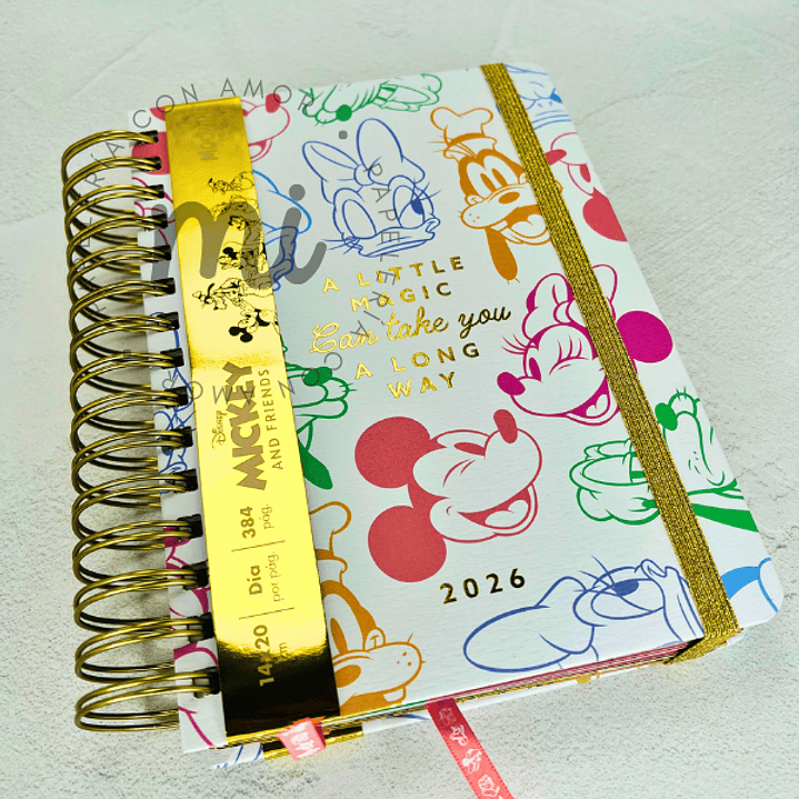 AGENDA MICKEY AND FRIENDS 1