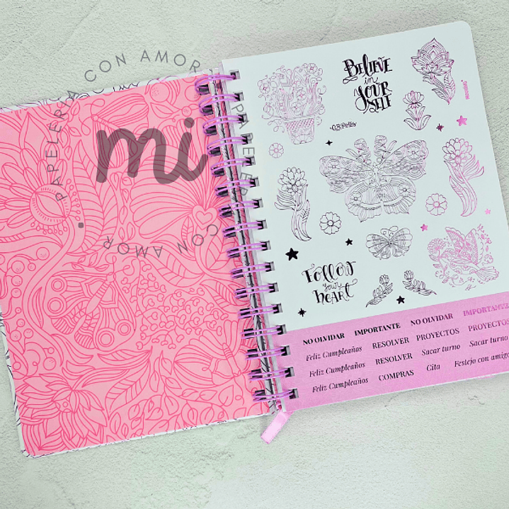 AGENDA THE COLORING  2