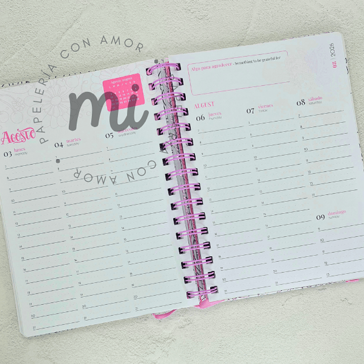 AGENDA THE COLORING  3