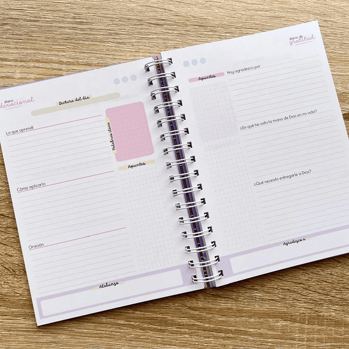 DIARIO DEVOCIONAL 3