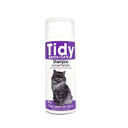 Tidy Shampoo Seco 100 g