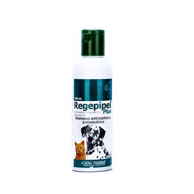 Regepipel Plus Shampoo Antiséptico
