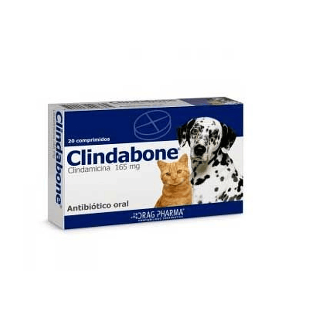 Clindabone Antibiótico 165 mg