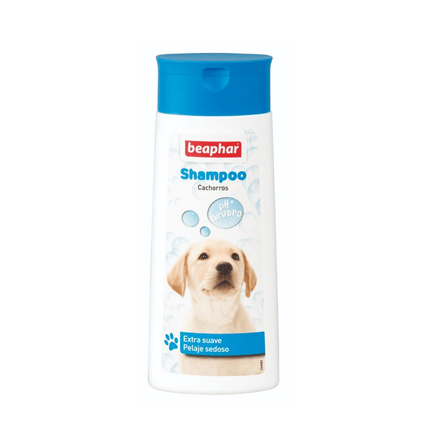 Shampoo Cachorros