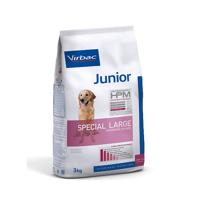 Junior Special L