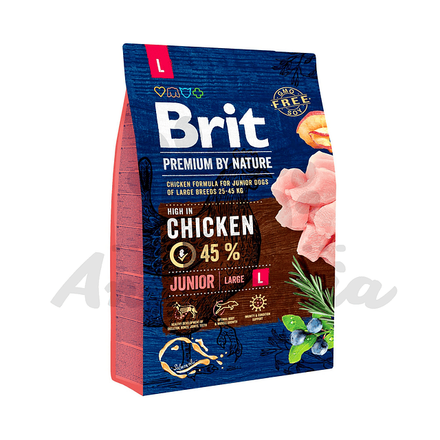 Adult Large Chicken Premium By Nature