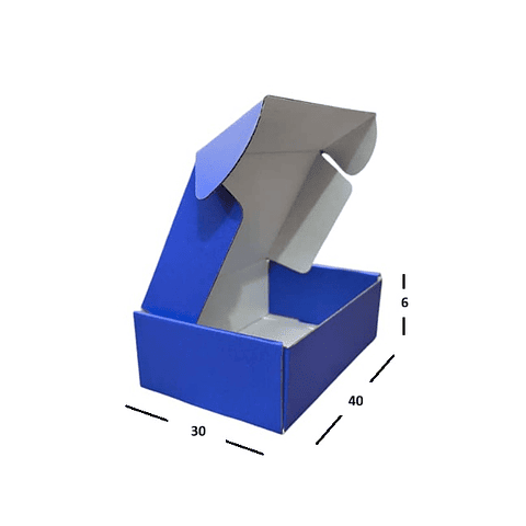 50 unidades 40X30X6 cm