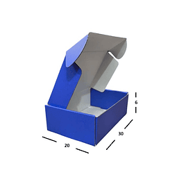 50 unidades 30X20X6 cm