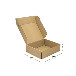 50 unidades 20x20x9 cm