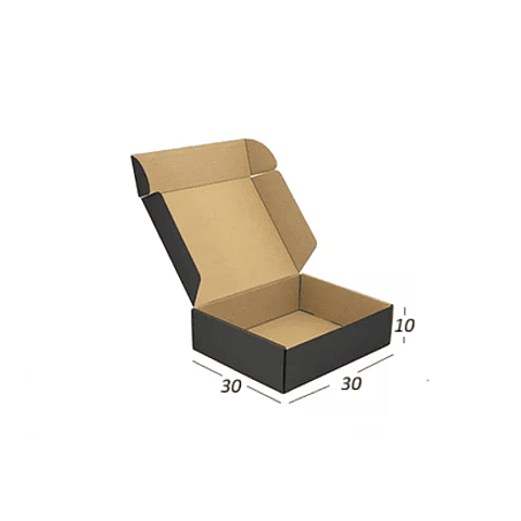 50 unidades 30X30X10 cm