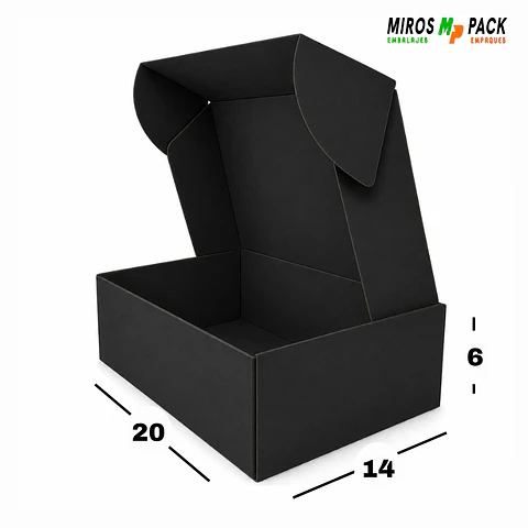 Caja Negra Negra 50 unidades 20X14X6 