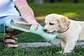 Botella Portátil 2 en 1 Pet Care cup para Perros - Miniatura 5