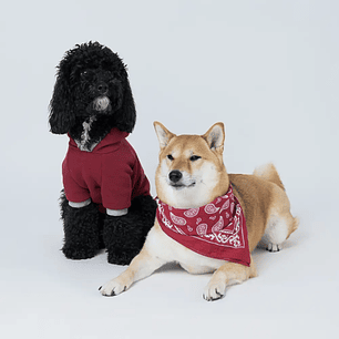 Ropa de demostración