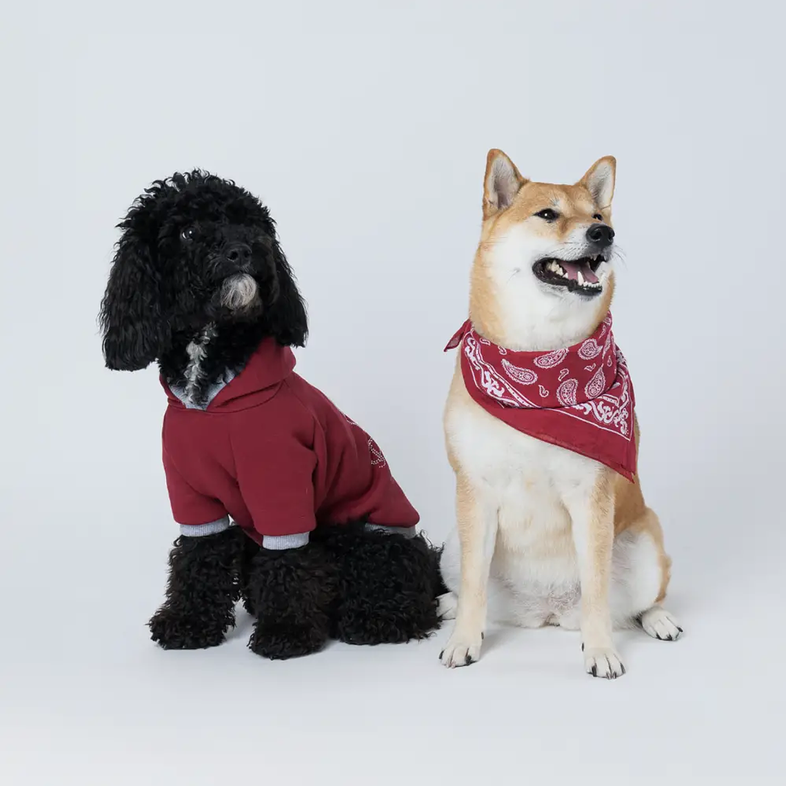 Ropa de demostración 2