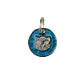 Placa para Gato Brillantina - Miniatura 3
