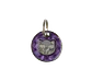 Placa para Gato Brillantina - Miniatura 4