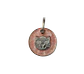 Placa para Gato Brillantina - Miniatura 5