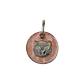 Placa para Gato Brillantina - Miniatura 5