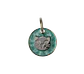 Placa para Gato Brillantina - Miniatura 6