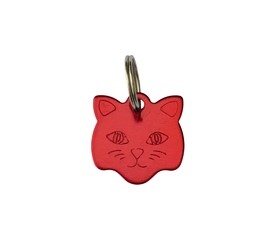 Placa para Gato de Aluminio 2