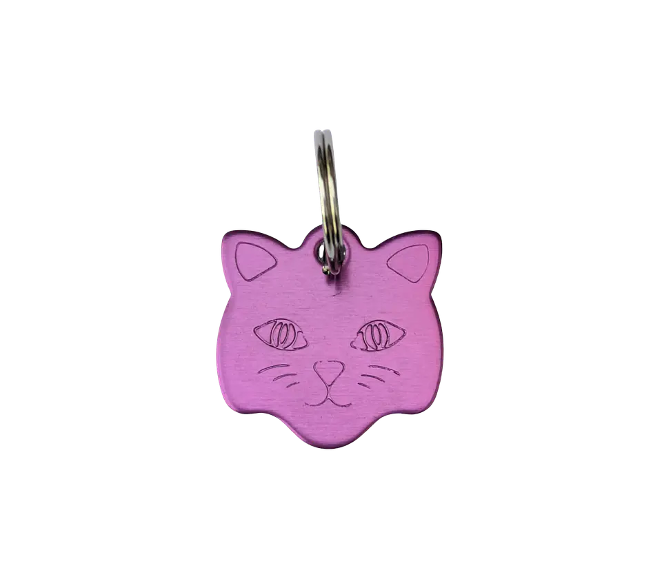 Placa para Gato de Aluminio 3
