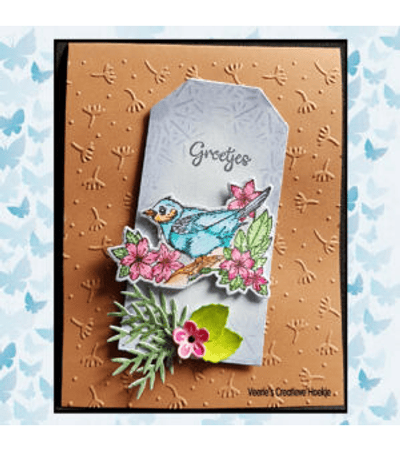 Snellen Design Matriz y Timbre 