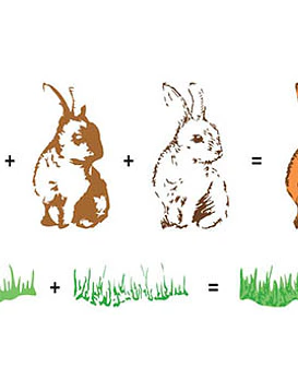 HS Timbre 3D Bunny