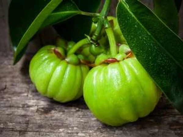 ¿De verdad la Garcinia Cambogia ayuda a bajar de peso?