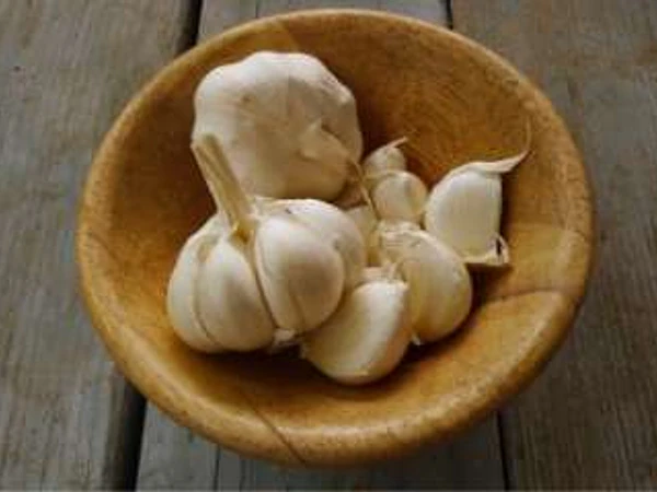 Los beneficios y tratamiento del Ajo