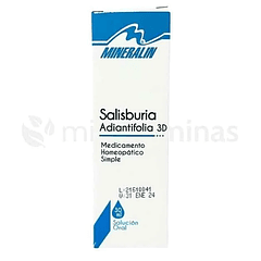 Salisburia Adiantifolia 3D Ginkgo Biloba Homeopatico Mineralin