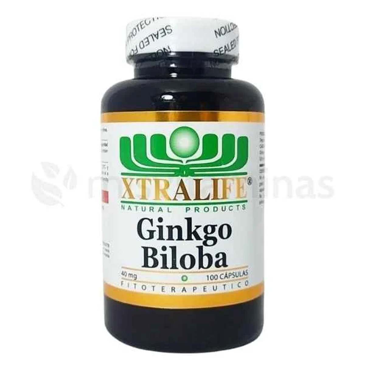 Ginkgo Biloba 40 mg Xtralife Mis Vitaminas
