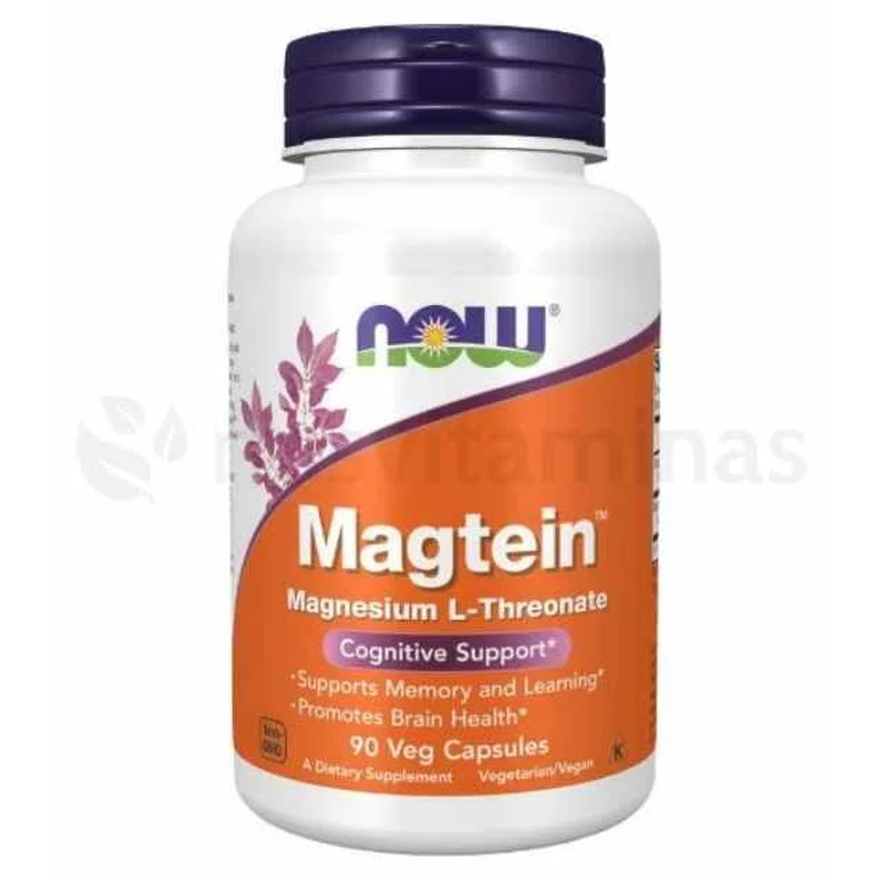 Magtein Magnesium L-Threonate Now 