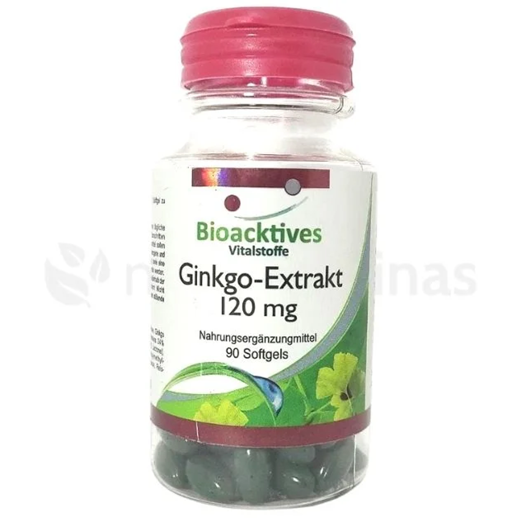Ginkgo Biloba 120 Mg Bioacktives 90 Softgels