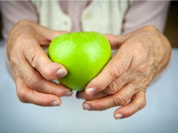 Harpagofito, un potente antiinflamatorio, analgésico y digestivo.