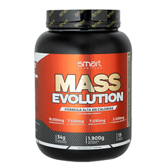 Mass Evolution 4.2 Libras Smart Nutrition Hipercalorica