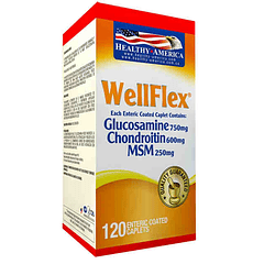 Well Flex 120 Tabletas Healthy America