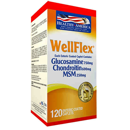 Well Flex 120 Capsulas Healthy America