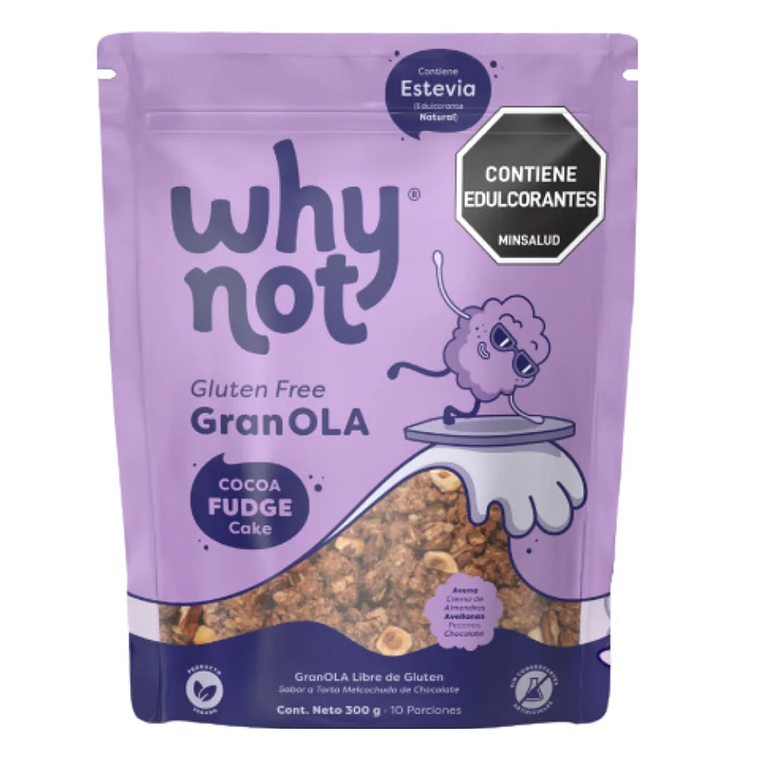 GranOla Cocoa Fudge Cake 300 g Why Not 1